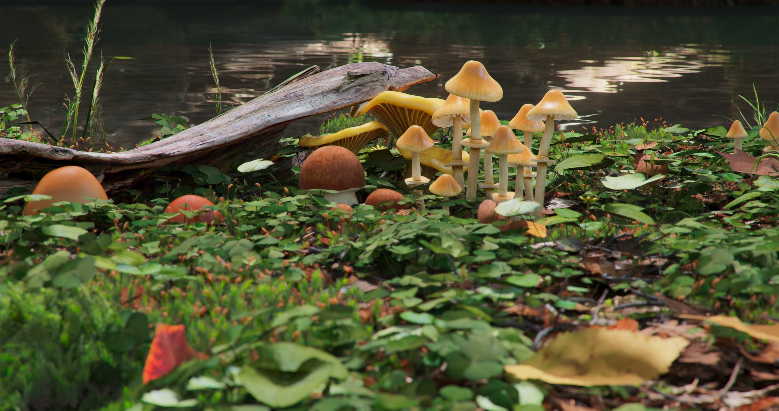 This image shows 3d animated mushrooms on a green field with autumn leaves.jpg